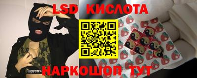 тгк Будённовск