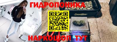 тгк Будённовск