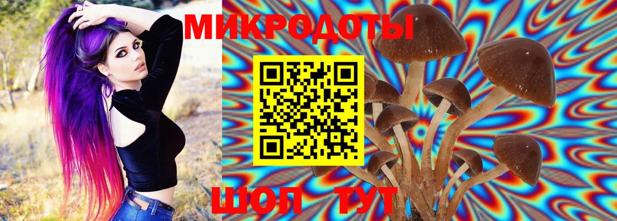 Ярославль  Галлюциногенные грибы GOLDEN TEACHER  Вход с VPN 